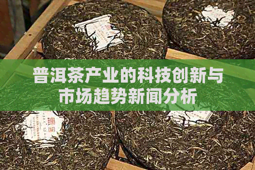 普洱茶产业的科技创新与市场趋势新闻分析