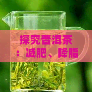 探究普洱茶：减肥、降脂、作用与禁忌的全面解析