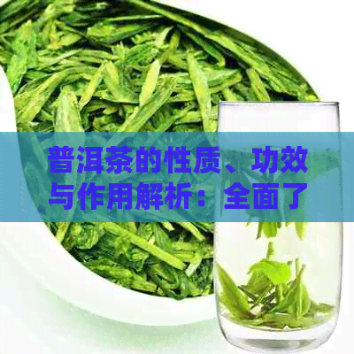 普洱茶的性质、功效与作用解析：全面了解这种茶叶对人体的影响