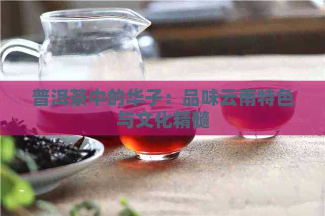 普洱茶中的华子：品味云南特色与文化精髓