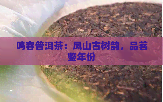 鸣春普洱茶：凤山古树韵，品茗鉴年份