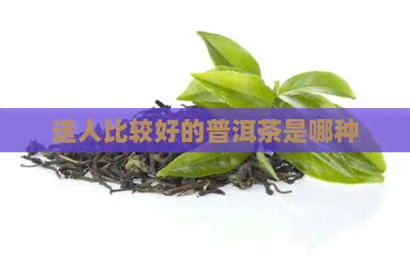 送人比较好的普洱茶是哪种