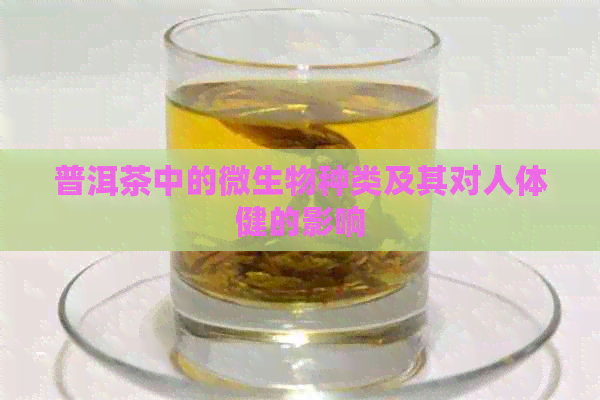 普洱茶中的微生物种类及其对人体健的影响