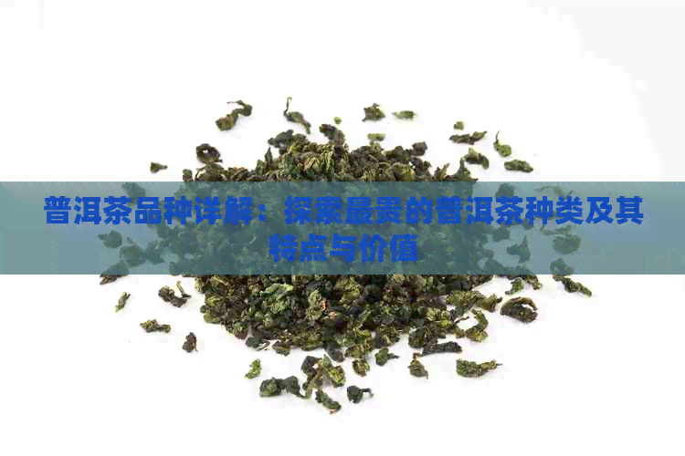 普洱茶品种详解：探索最贵的普洱茶种类及其特点与价值