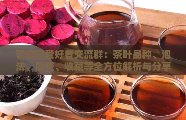 普洱茶爱好者交流群：茶叶品种、泡法、品鉴、收藏等全方位解析与分享