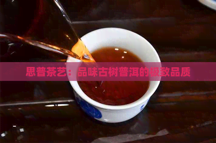 思普茶艺：品味古树普洱的极致品质