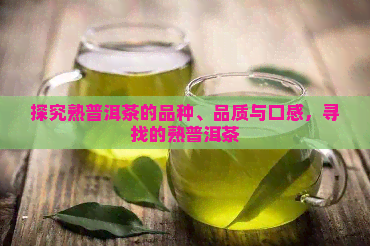 探究熟普洱茶的品种、品质与口感，寻找的熟普洱茶