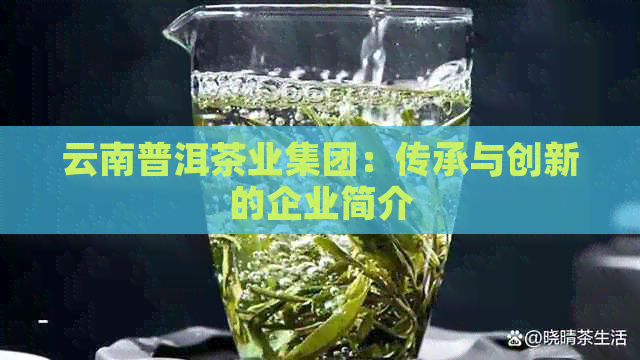 云南普洱茶业集团：传承与创新的企业简介