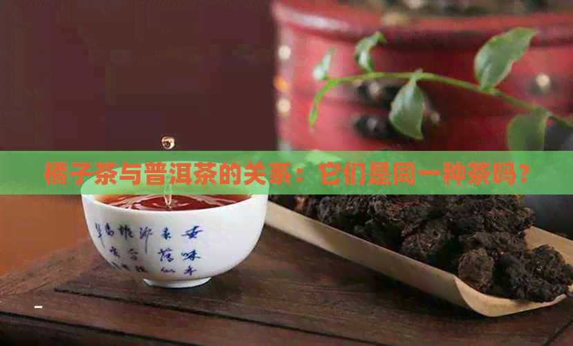 橘子茶与普洱茶的关系：它们是同一种茶吗？