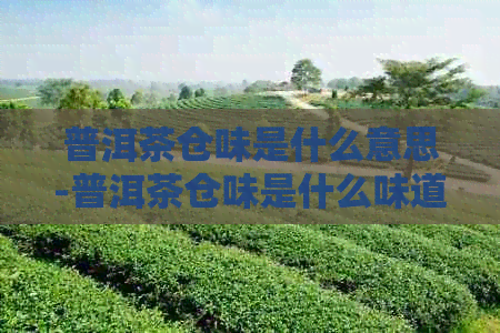 普洱茶仓味是什么意思-普洱茶仓味是什么味道