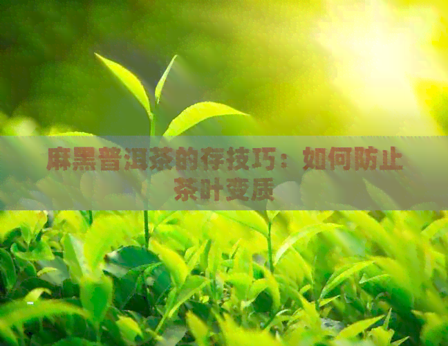 麻黑普洱茶的存技巧：如何防止茶叶变质