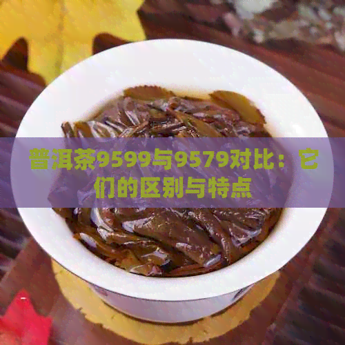 普洱茶9599与9579对比：它们的区别与特点