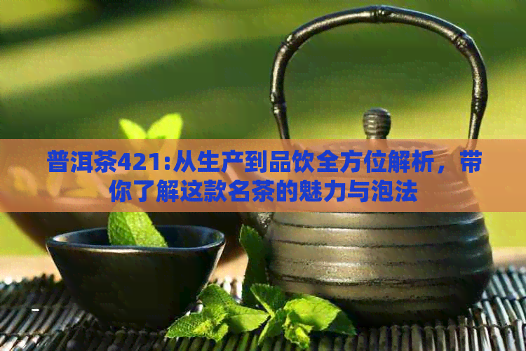 普洱茶421:从生产到品饮全方位解析，带你了解这款名茶的魅力与泡法