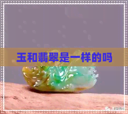 玉和翡翠是一样的吗