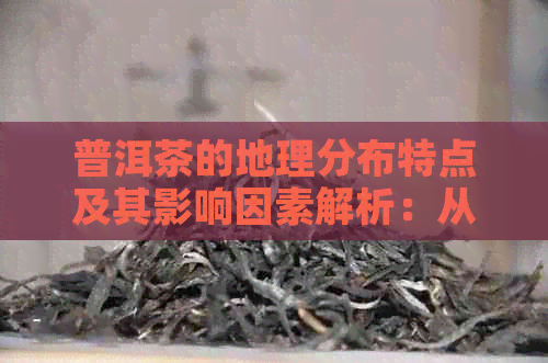 普洱茶的地理分布特点及其影响因素解析：从产地到消费者的全方位探讨