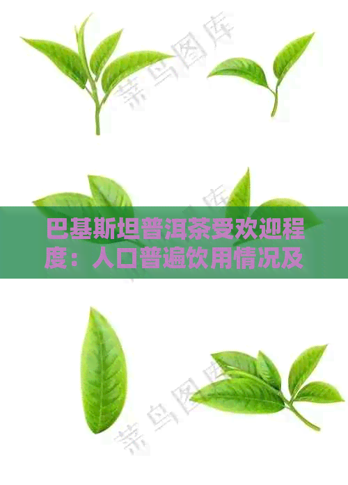 巴基斯坦普洱茶受欢迎程度：人口普遍饮用情况及文化影响力解析