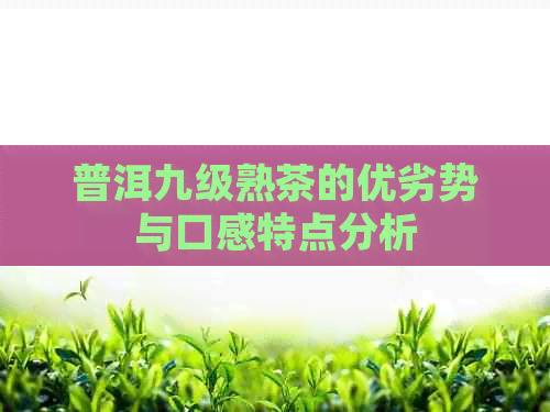 普洱九级熟茶的优劣势与口感特点分析