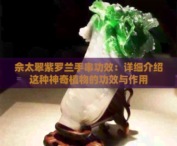 佘太翠紫罗兰手串功效：详细介绍这种神奇植物的功效与作用