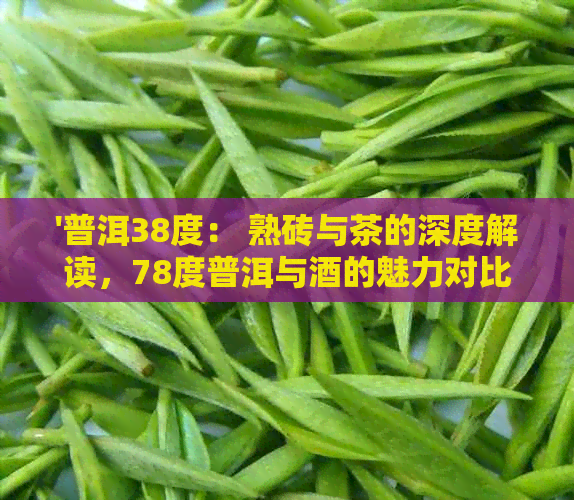 '普洱38度： 熟砖与茶的深度解读，78度普洱与酒的魅力对比'