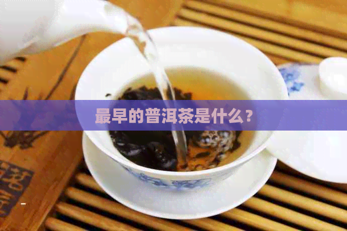 最早的普洱茶是什么？