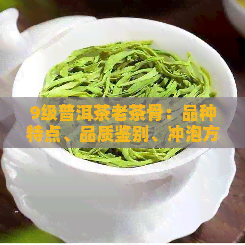 9级普洱茶老茶骨：品种特点、品质鉴别、冲泡方法与收藏建议全面解析