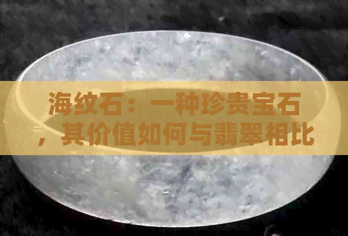 海纹石：一种珍贵宝石，其价值如何与翡翠相比？