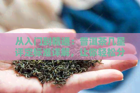 从入门到精通：普洱茶几星评定标准详解，让你轻松分辨茶叶品质