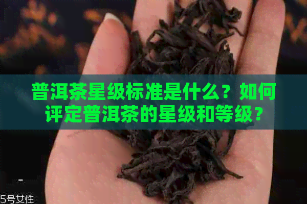 普洱茶星级标准是什么？如何评定普洱茶的星级和等级？