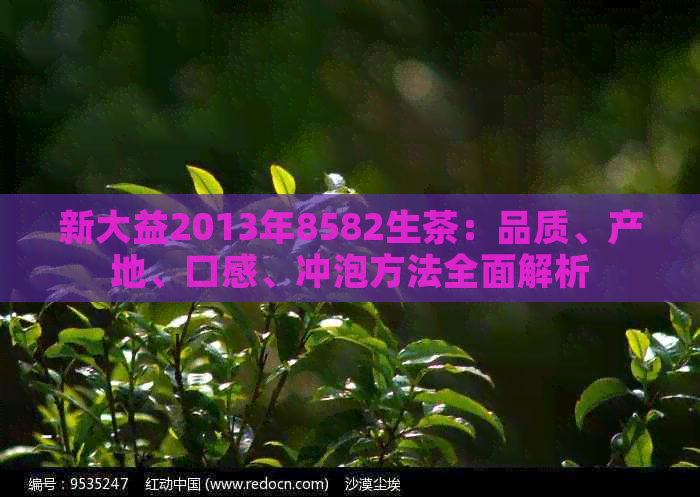 新大益2013年8582生茶：品质、产地、口感、冲泡方法全面解析