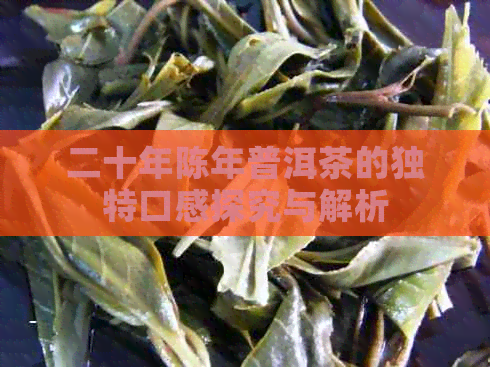 二十年陈年普洱茶的独特口感探究与解析