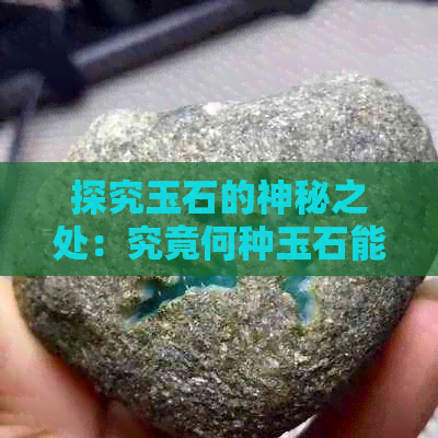 探究玉石的神秘之处：究竟何种玉石能出油？