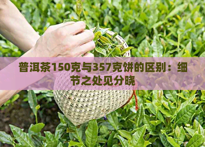 普洱茶150克与357克饼的区别：细节之处见分晓