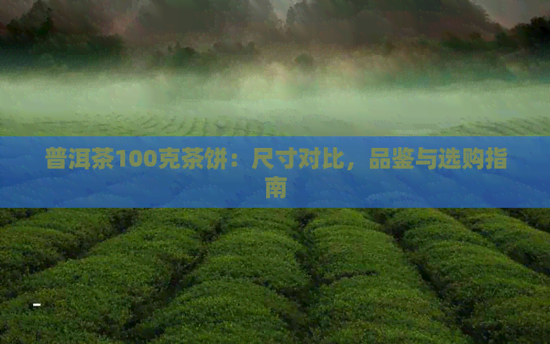 普洱茶100克茶饼：尺寸对比，品鉴与选购指南