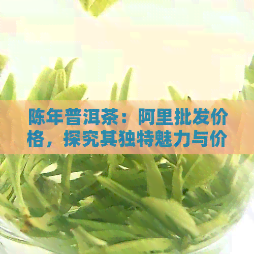 陈年普洱茶：阿里批发价格，探究其独特魅力与价值