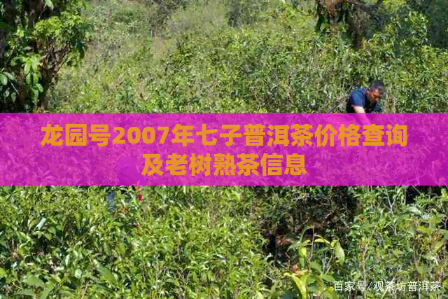 龙园号2007年七子普洱茶价格查询及老树熟茶信息