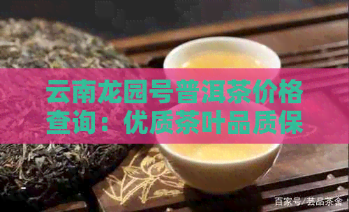 云南龙园号普洱茶价格查询：优质茶叶品质保证，价格实合理