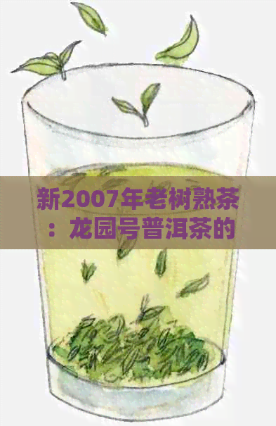 新2007年老树熟茶：龙园号普洱茶的独特魅力与陈化之道