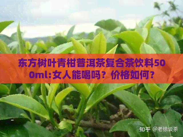 东方树叶青柑普洱茶复合茶饮料500ml:女人能喝吗？价格如何？