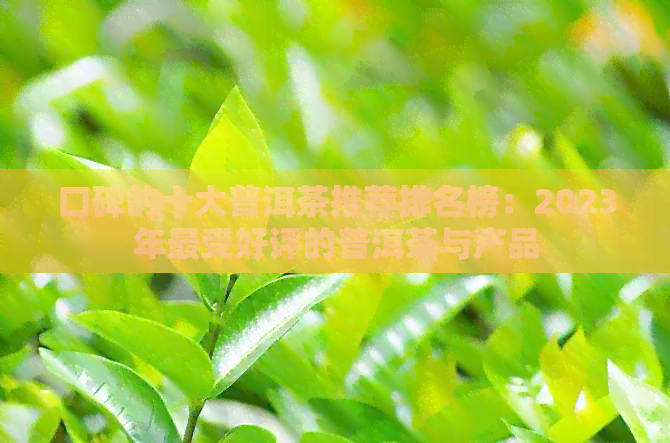 口碑的十大普洱茶推荐排名榜：2023年最受好评的普洱茶与产品