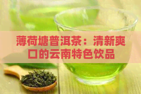 薄荷塘普洱茶：清新爽口的云南特色饮品