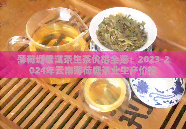 薄荷塘普洱茶生茶价格全览：2023-2024年云南薄荷糖茶业生产价格