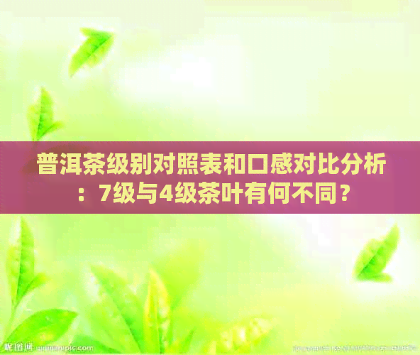 普洱茶级别对照表和口感对比分析：7级与4级茶叶有何不同？