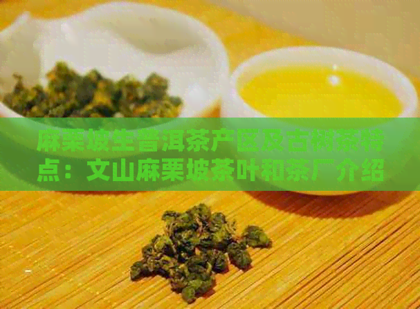 麻栗坡生普洱茶产区及古树茶特点：文山麻栗坡茶叶和茶厂介绍