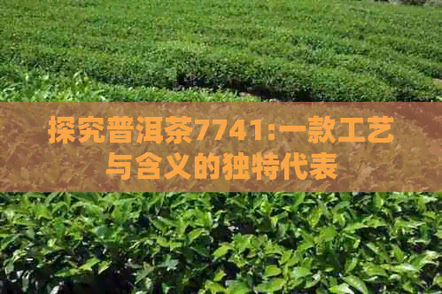 探究普洱茶7741:一款工艺与含义的独特代表