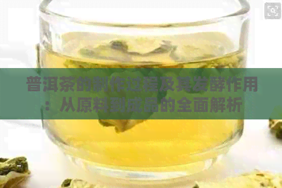 普洱茶的制作过程及其发酵作用：从原料到成品的全面解析