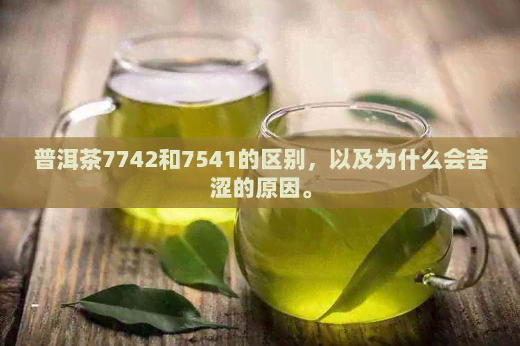 普洱茶7742和7541的区别，以及为什么会苦涩的原因。