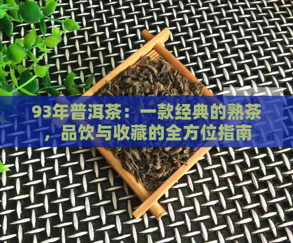 93年普洱茶：一款经典的熟茶，品饮与收藏的全方位指南