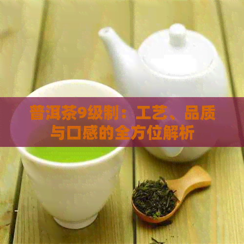 普洱茶9级制：工艺、品质与口感的全方位解析