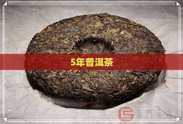 5年普洱茶