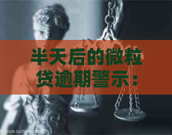 半天后的微粒贷逾期警示：如何避免不良信用记录影响？